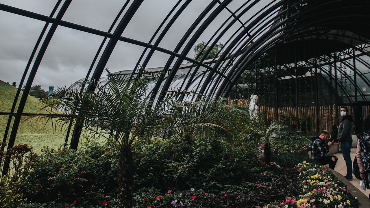 iPhone Photo Printer 4x6 Liene Amber Instant Photo Printer