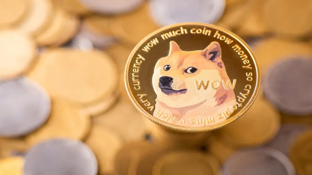 Short- and Long-Term Investor DOGE Trading Strategies