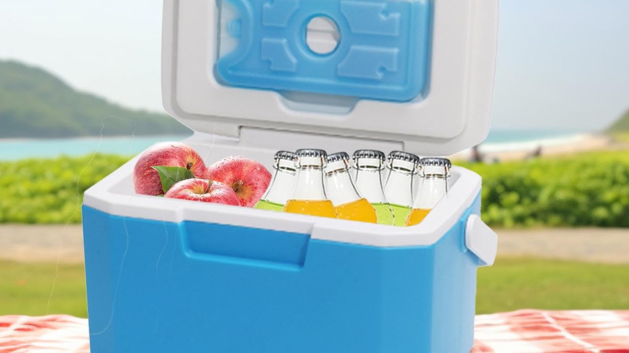 Exploring Multifunctional Hard Coolers for Storage and Transport